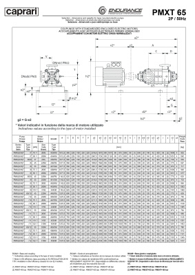 Горизонтальные секционные насосы высокого давления Caprari PMXT 65 3500 из нержавеющей стали