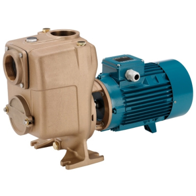 Поверхностный самовсасывающий одноступенчатый насос Calpeda B-A 65-150B/A