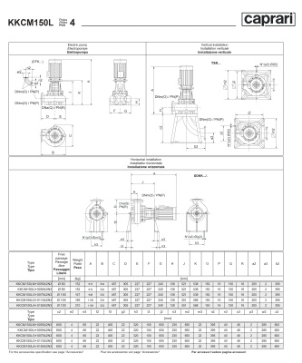 Сухая установка фекального насоса Caprari K-KOMPACT 4 DN 150 KKCM150L