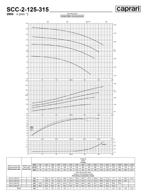 Горизонтальные насосы двустороннего входа Caprari SCC-2-125-315 2900