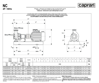 Одноступенчатые горизонтальные центробежные насосы Caprari NCHF 250-500 1450