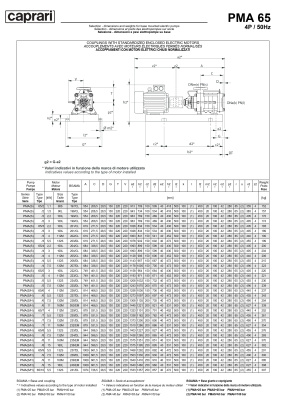 Горизонтальные многоступенчатые насосы высокого давления Caprari PMA 65 3500