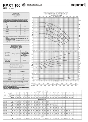 Горизонтальные секционные насосы высокого давления Caprari PMXT 100 1750 из нержавеющей стали
