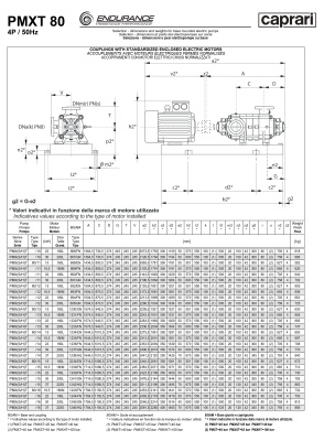 Горизонтальные секционные насосы высокого давления Caprari PMXT 80 3500 из нержавеющей стали