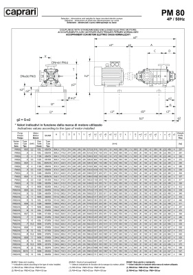 Горизонтальные многоступенчатые насосы высокого давления Caprari PM 80 1450