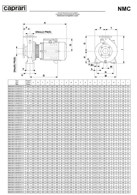 Поверхностные одноступенчатые консольно-моноблочные насосы Caprari NMC 50 2P