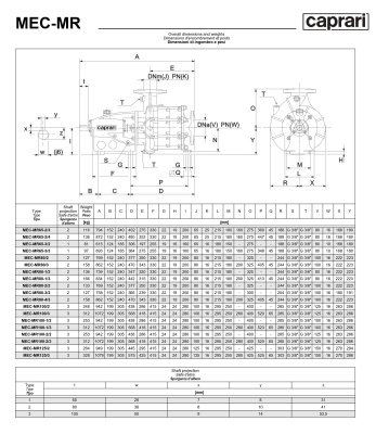 Горизонтальные многоступенчатые насосы Caprari MEC-MR 1450