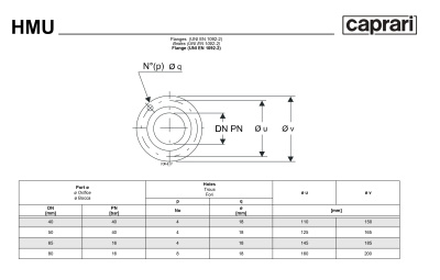 Горизонтальные секционные насосы высокого давления Caprari NMU 2900