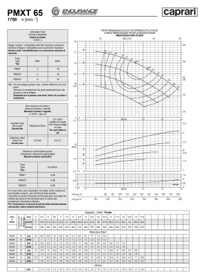 Горизонтальные секционные насосы высокого давления Caprari PMXT 65 1750 из нержавеющей стали