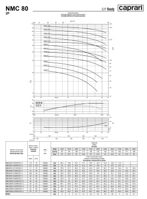 Поверхностные одноступенчатые консольно-моноблочные насосы Caprari NMC 80 2P