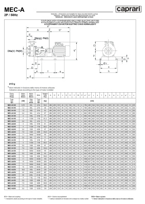 Горизонтальные одноступенчатые насосы Caprari MEC-A 2200