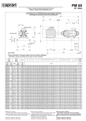 Горизонтальные многоступенчатые насосы высокого давления Caprari PM 65 2900