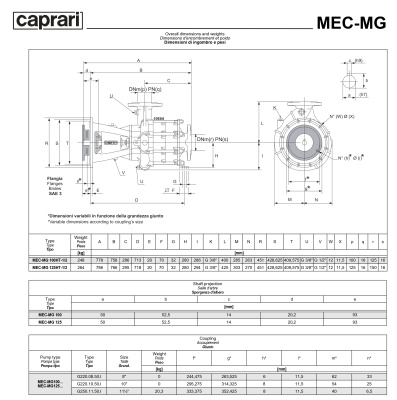 Фланцевый насос Caprari MEC-MG, MEC-AG, BHG 1600 для дизельного двигателя