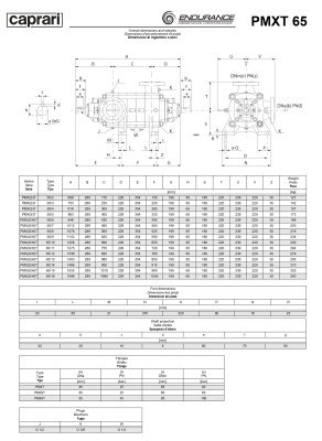 Горизонтальные секционные насосы высокого давления Caprari PMXT 65 2200 из нержавеющей стали
