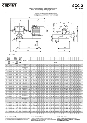 Горизонтальные насосы двустороннего входа Caprari SCC-2-200-500 1450