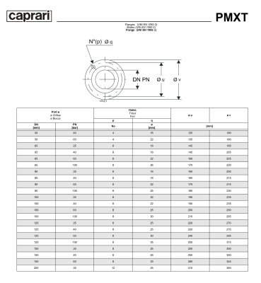 Горизонтальные секционные насосы высокого давления Caprari PMXT 150 1750 из нержавеющей стали