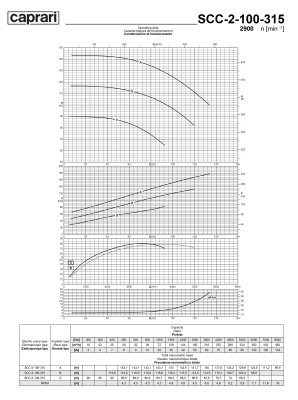 Горизонтальные насосы двустороннего входа Caprari SCC-2-100-315 2900