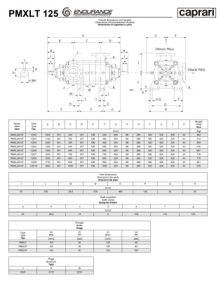Горизонтальные секционные насосы высокого давления Caprari PMXLT 125 2200 из нержавеющей стали
