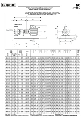 Одноступенчатые горизонтальные центробежные насосы Caprari NC 32-200 1450