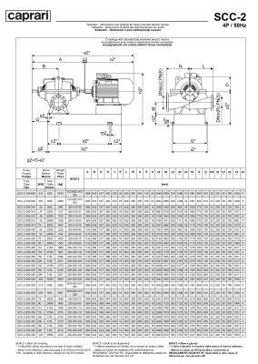 Горизонтальные насосы двустороннего входа Caprari SCC-2-200-315 1450
