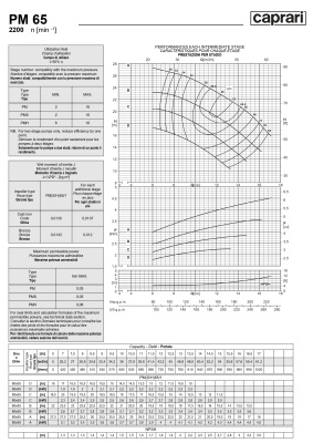 Горизонтальные многоступенчатые насосы высокого давления Caprari PM 65 2200