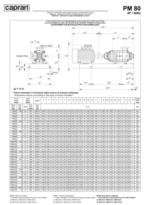 Горизонтальные многоступенчатые насосы высокого давления Caprari PM 80 2200