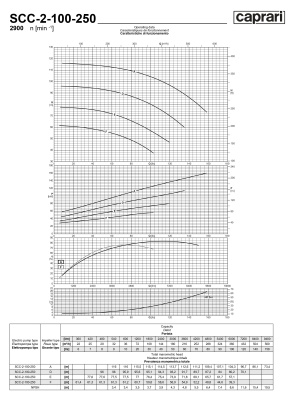 Горизонтальные насосы двустороннего входа Caprari SCC-2-100-250 2900