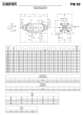 Горизонтальные многоступенчатые насосы высокого давления Caprari PM 80 1450