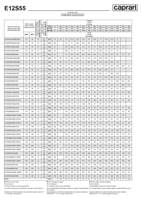 Скважинные насосы Caprari E12S55 из чугуна