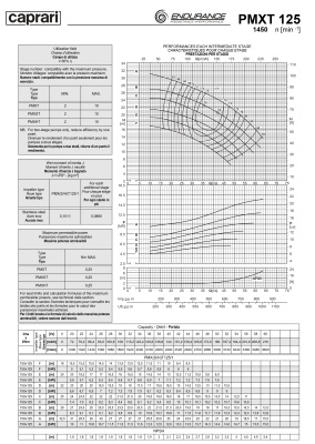 Горизонтальные секционные насосы высокого давления Caprari PMXT 125 1450 из нержавеющей стали