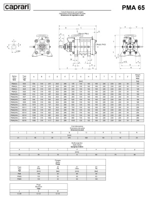 Горизонтальные многоступенчатые насосы высокого давления Caprari PMA 65 1450