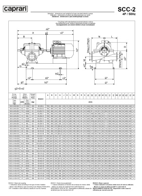 Горизонтальные насосы двустороннего входа Caprari SCC-2-80-250 2900
