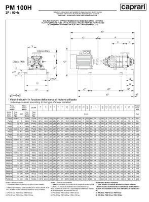 Горизонтальные многоступенчатые насосы высокого давления Caprari PM 100 1450