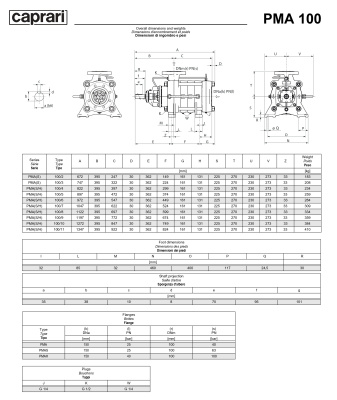 Горизонтальные многоступенчатые насосы высокого давления Caprari PMA 100 2900