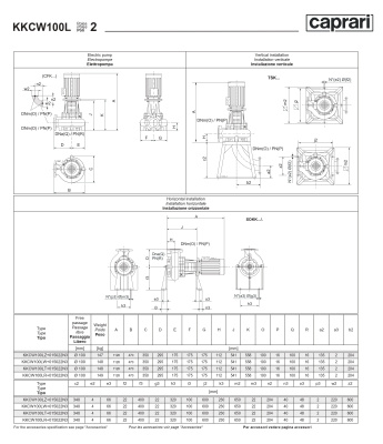Сухая установка фекального насоса Caprari K-KOMPACT 2 DN 100 KKCW100L