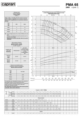 Горизонтальные многоступенчатые насосы высокого давления Caprari PMA 65 2900