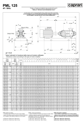 Горизонтальные многоступенчатые насосы высокого давления Caprari PML 125 1750