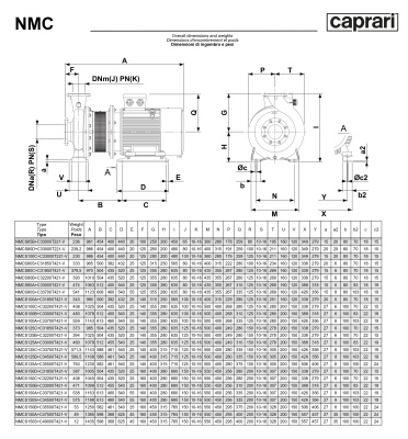 Поверхностные одноступенчатые консольно-моноблочные насосы Caprari NMC 100 2P