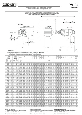 Горизонтальные многоступенчатые насосы высокого давления Caprari PM 65 1450