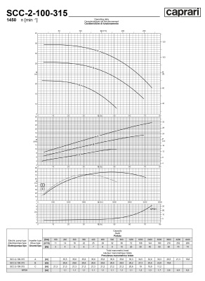 Горизонтальные насосы двустороннего входа Caprari SCC-2-100-315 1450