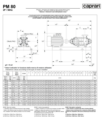 Горизонтальные многоступенчатые насосы высокого давления Caprari PM 80 1750