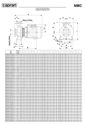 Поверхностные одноступенчатые консольно-моноблочные насосы Caprari NMC 80 2P