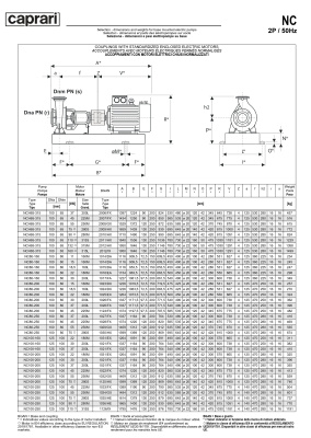 Одноступенчатые горизонтальные центробежные насосы Caprari NC 100-160 2900