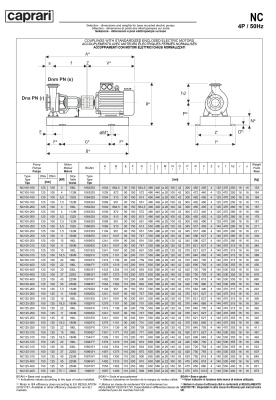 Одноступенчатые горизонтальные центробежные насосы Caprari NC 125-250 1450