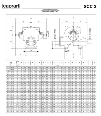 Горизонтальные насосы двустороннего входа Caprari SCC-2-80-250 2900