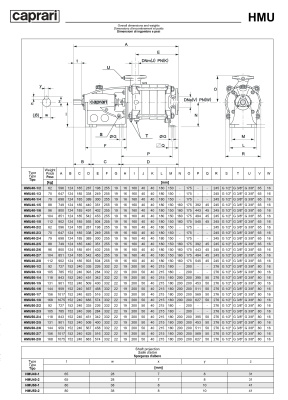 Горизонтальные секционные насосы высокого давления Caprari NMU 1450